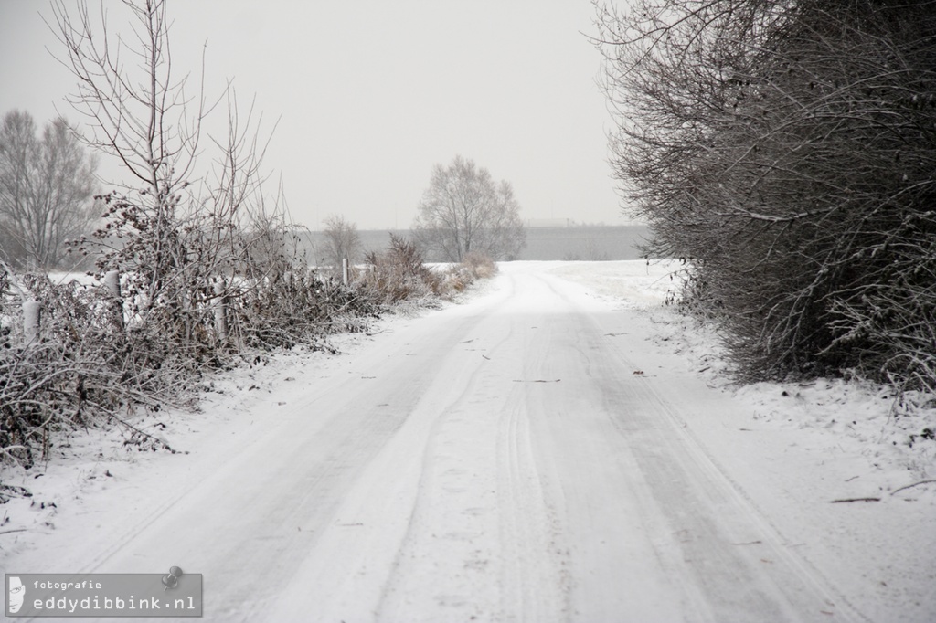 2010-12-17 Sneeuw, Deventer 010